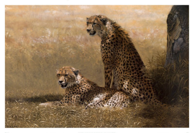 Siesta by W. Michael Frye Pricing Limited Edition Print image