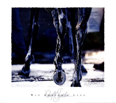 War Emblem's Legs by David R. Stoecklein Pricing Limited Edition Print image