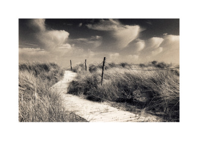 Winding Path, West Wittering by Lesley Aggar Pricing Limited Edition Print image