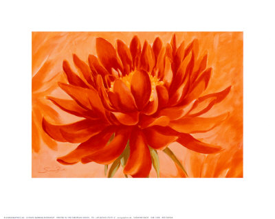 Red Dahlia by Susanne Bach Pricing Limited Edition Print image