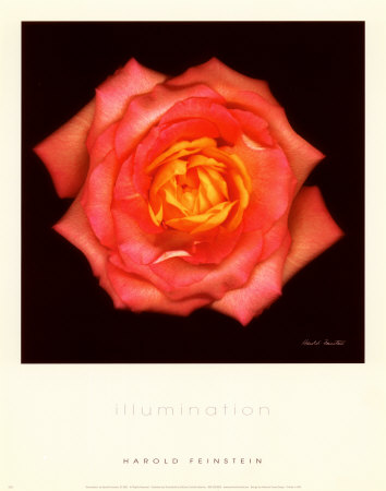 Illumination by Harold Feinstein Pricing Limited Edition Print image