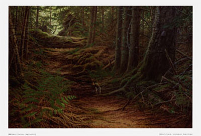 Pathway by Pierre Leduc Pricing Limited Edition Print image