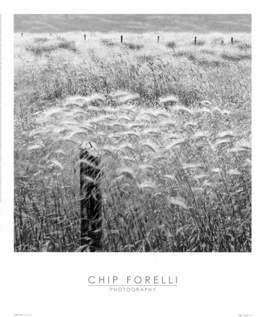 Fence Posts by Chip Forelli Pricing Limited Edition Print image