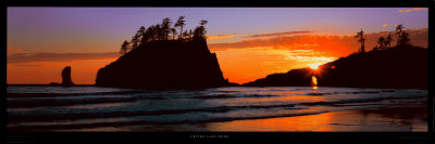 Olympic National Park, Washington State by Alain Thomas Pricing Limited Edition Print image