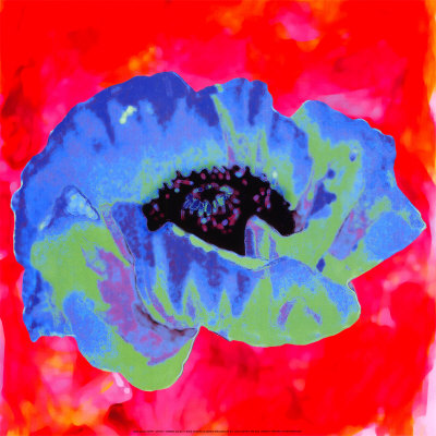 Blue Poppy by Yvonne Dulac Pricing Limited Edition Print image