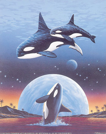 Orcas Over Moon by Alan Metz Pricing Limited Edition Print image