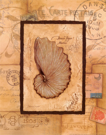 Nautilus by Stephanie Marrott Pricing Limited Edition Print image