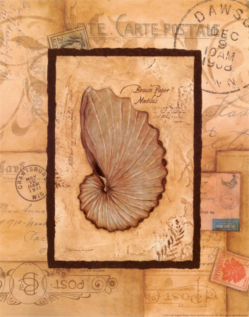 Nautilus by Stephanie Marrott Pricing Limited Edition Print image