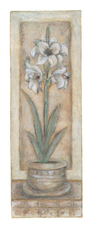 White Amaryllis by Joyce Combs Pricing Limited Edition Print image