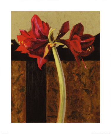 Amaryllis And French Screen Ii by Shirley Novak Pricing Limited Edition Print image
