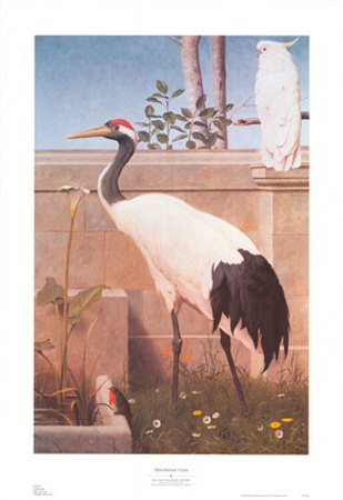 Manchurian Crane, Cockatoo And Robin by Henry Stacey Marks Pricing Limited Edition Print image