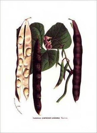 Beans by Francois Van Houtte Pricing Limited Edition Print image