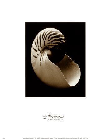 Nautilus by Sondra Wampler Pricing Limited Edition Print image