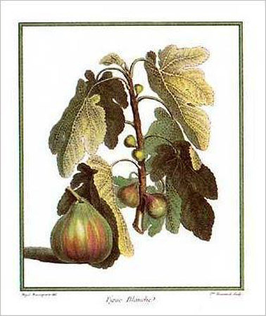 Figs by Henri Du Monceau Pricing Limited Edition Print image