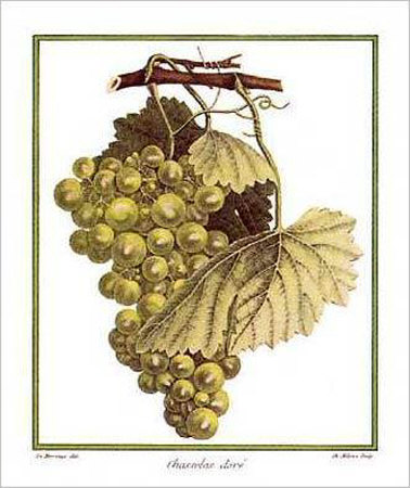 Grapes by Henri Du Monceau Pricing Limited Edition Print image