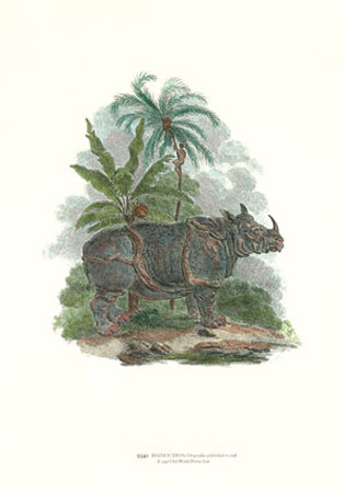 Rhinoceros by Julius Caesar Ibbetson Pricing Limited Edition Print image