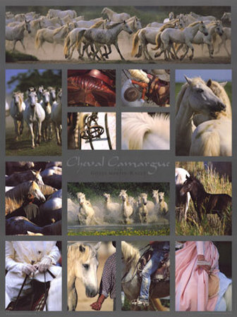 Cheval Camargue Mosaique by Gilles Martin-Raget Pricing Limited Edition Print image