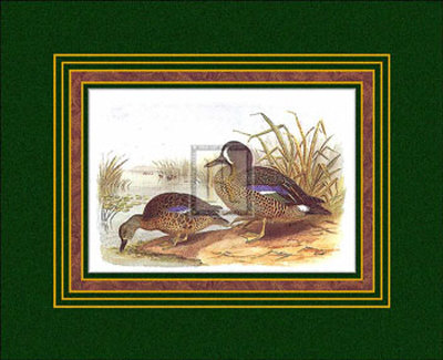 Ducks Iii by H. Jones Pricing Limited Edition Print image
