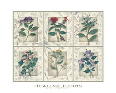 Healing Herbs by Julie Nightingale Pricing Limited Edition Print image