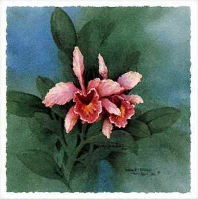 Radiant Blooms I by Carolyn Shores-Wright Pricing Limited Edition Print image