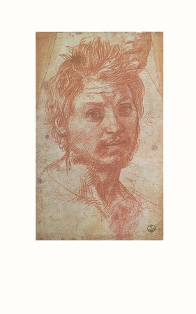 Head Of A Young Man by Andrea Del Sarto Pricing Limited Edition Print image