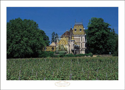 Les Fourniers Vineyards, Cote D'or by Mick Rock Pricing Limited Edition Print image