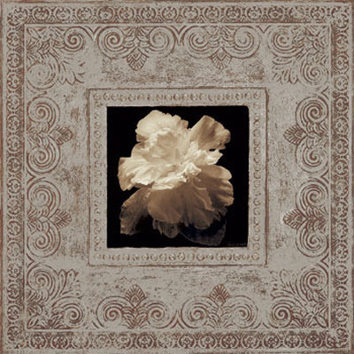 Estate Camellia by Julie James Pricing Limited Edition Print image