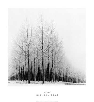 Frost by Micheal Cole Pricing Limited Edition Print image