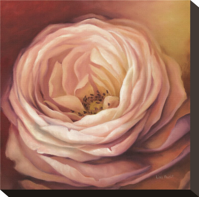 Rose Portrait by Lisa Audit Pricing Limited Edition Print image