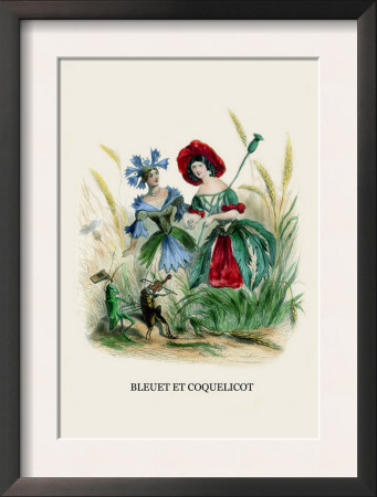 Bleuet Et Coquelicot by J.J. Grandville Pricing Limited Edition Print image