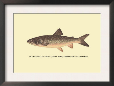 The Great Lake Trout by H.H. Leonard Pricing Limited Edition Print image