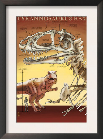 Tyrannosaurus Rex Facts, C.2008 by Lantern Press Pricing Limited Edition Print image