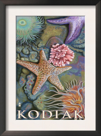 Kodiak, Alaska - Tidepool, C.2009 by Lantern Press Pricing Limited Edition Print image