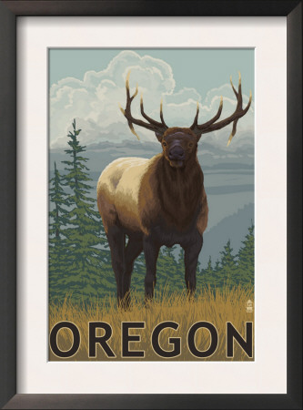 Elk Scene - Oregon, C.2009 by Lantern Press Pricing Limited Edition Print image