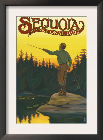 Sequoia Nat'l Park - Fisherman Casting - Lp Poster, C.2009 by Lantern Press Pricing Limited Edition Print image