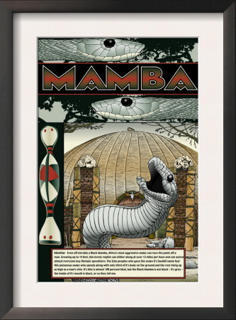 Mamba by Wilbur Pierce Pricing Limited Edition Print image