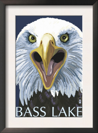 Bass Lake, California - Eagle Up Close, C.2008 by Lantern Press Pricing Limited Edition Print image