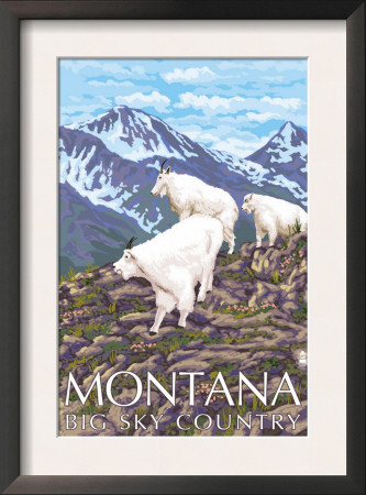 Montana - Big Sky Country - Mountain Goats, C.2008 by Lantern Press Pricing Limited Edition Print image