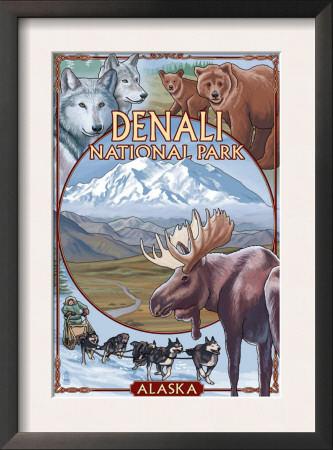 Denali National Park, Alaska Views, C.2009 by Lantern Press Pricing Limited Edition Print image