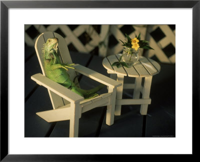 Green Iguana Sitting In Adirondak Chair by Jacque Denzer Parker Pricing Limited Edition Print image