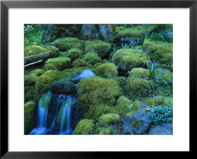 Mossy Brook, Butchart Gardens, Victoria, Bc Canada by Troy & Mary Parlee Pricing Limited Edition Print image