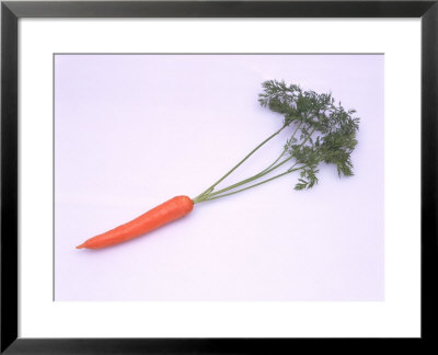 Carrot With Stem by David Ball Pricing Limited Edition Print image