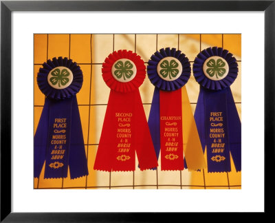 Ribbons For Competition, 4-H Fair, Chester, Nj by Jeff Greenberg Pricing Limited Edition Print image