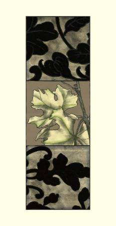 Vine Triptych I by Jennifer Goldberger Pricing Limited Edition Print image