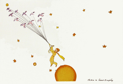 Petit Prince Et Les Oiseaux Sauvages by Antoine De Saint-Exupéry Pricing Limited Edition Print image