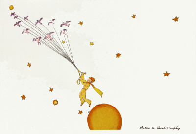 Petit Prince Et Les Oiseaux Sauvages by Antoine De Saint-Exupery Pricing Limited Edition Print image