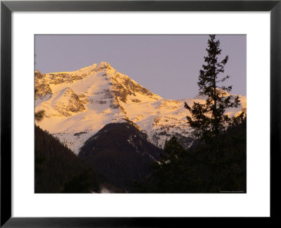 Nature Trails In British Columbia, Canada by Keith Levit Pricing Limited Edition Print image