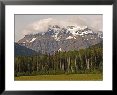 Forest With Mountiains, Robson Provincial Park, Canada by Keith Levit Pricing Limited Edition Print image