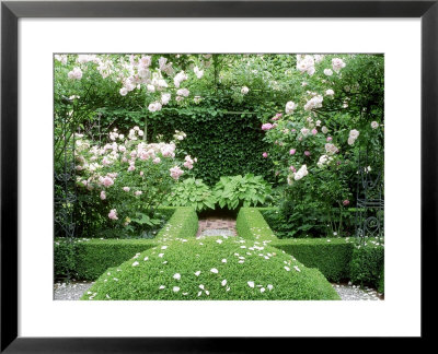 Late Summer View Across Informal Border With Mixture Of Colourful Perennials And A Summerhouse by Mark Bolton Pricing Limited Edition Print image