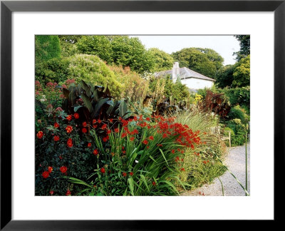 Hot Summer Border by Mark Bolton Pricing Limited Edition Print image